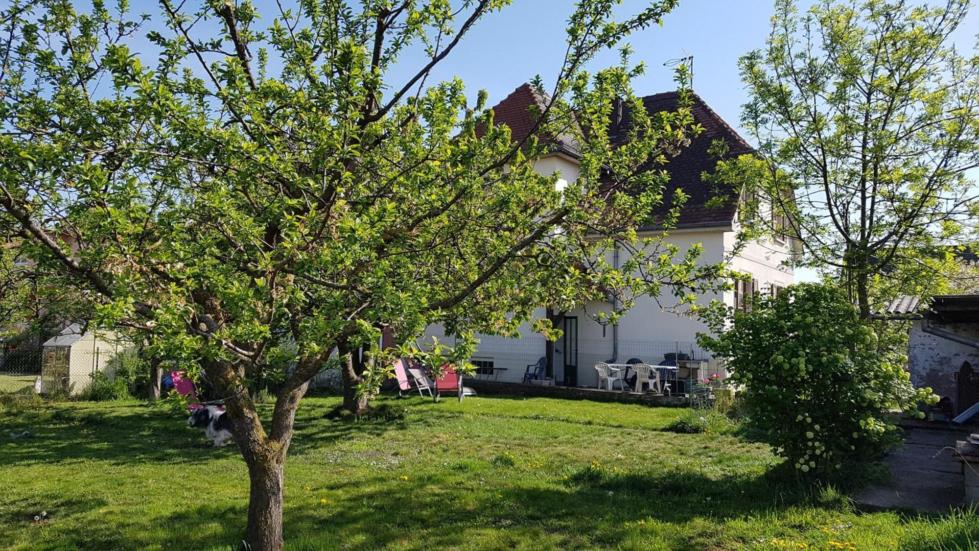 Maison Les 3 Roses Wolfisheim Bagian luar foto