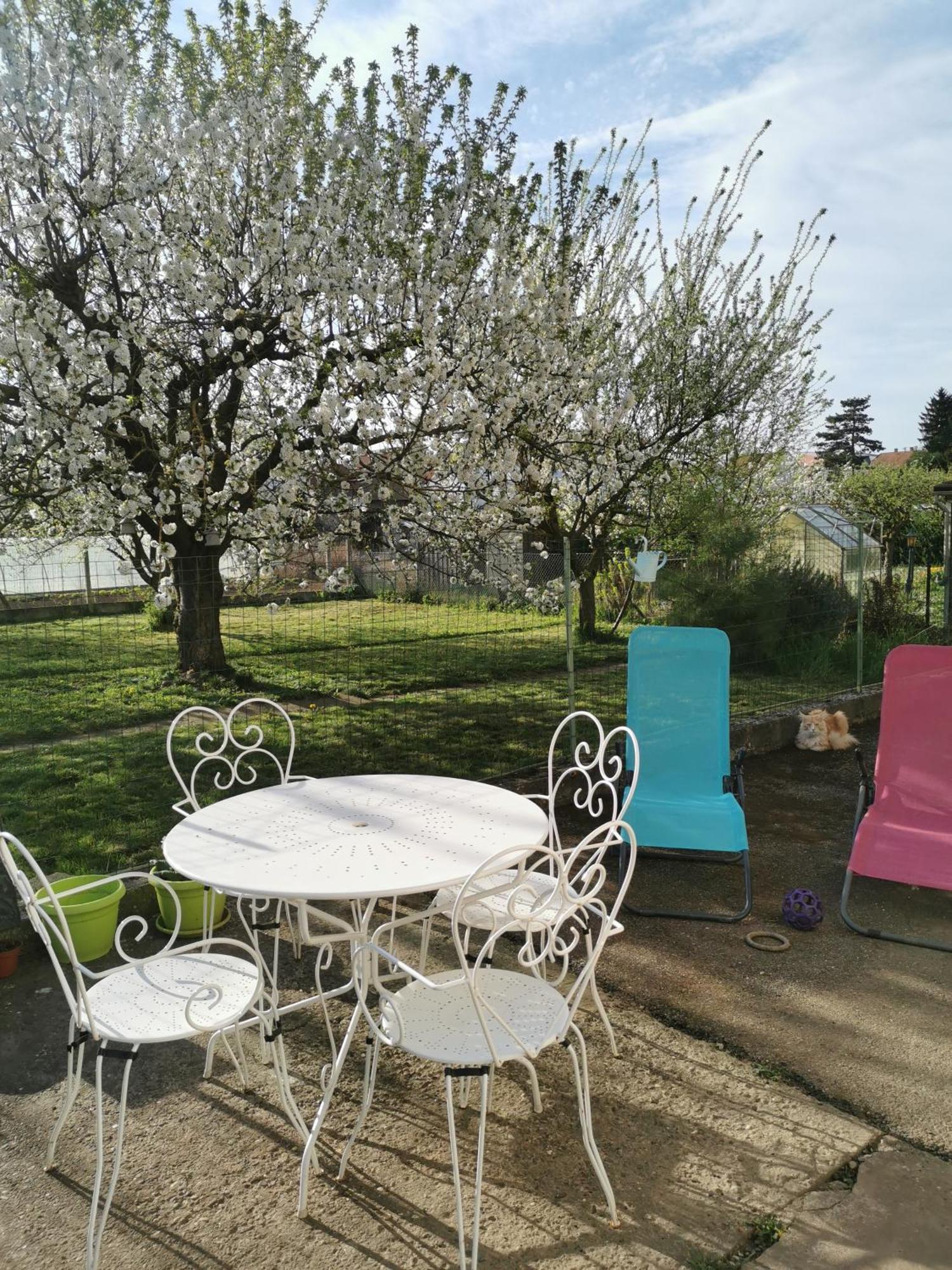 Maison Les 3 Roses Wolfisheim Bagian luar foto